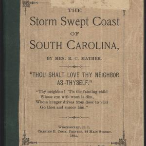 storm swept coast of sc cover