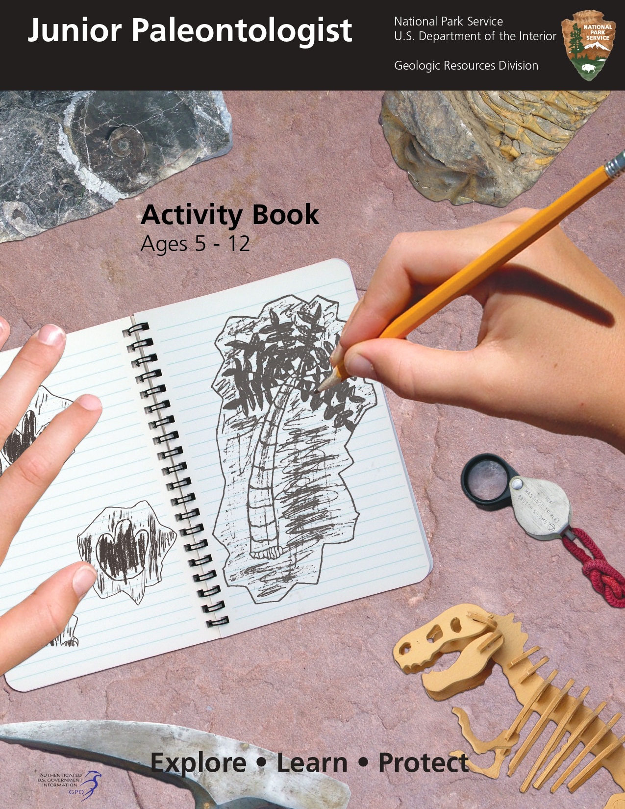 Cover of Junior Paleontologist Activity Book, Ages 5 to 12