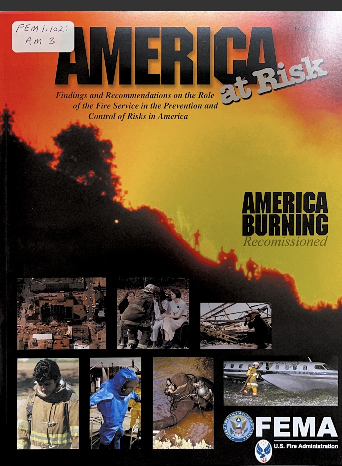 Cover of America at Risk