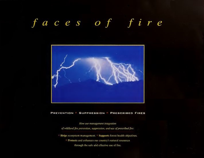 Cover of Faces of Fire