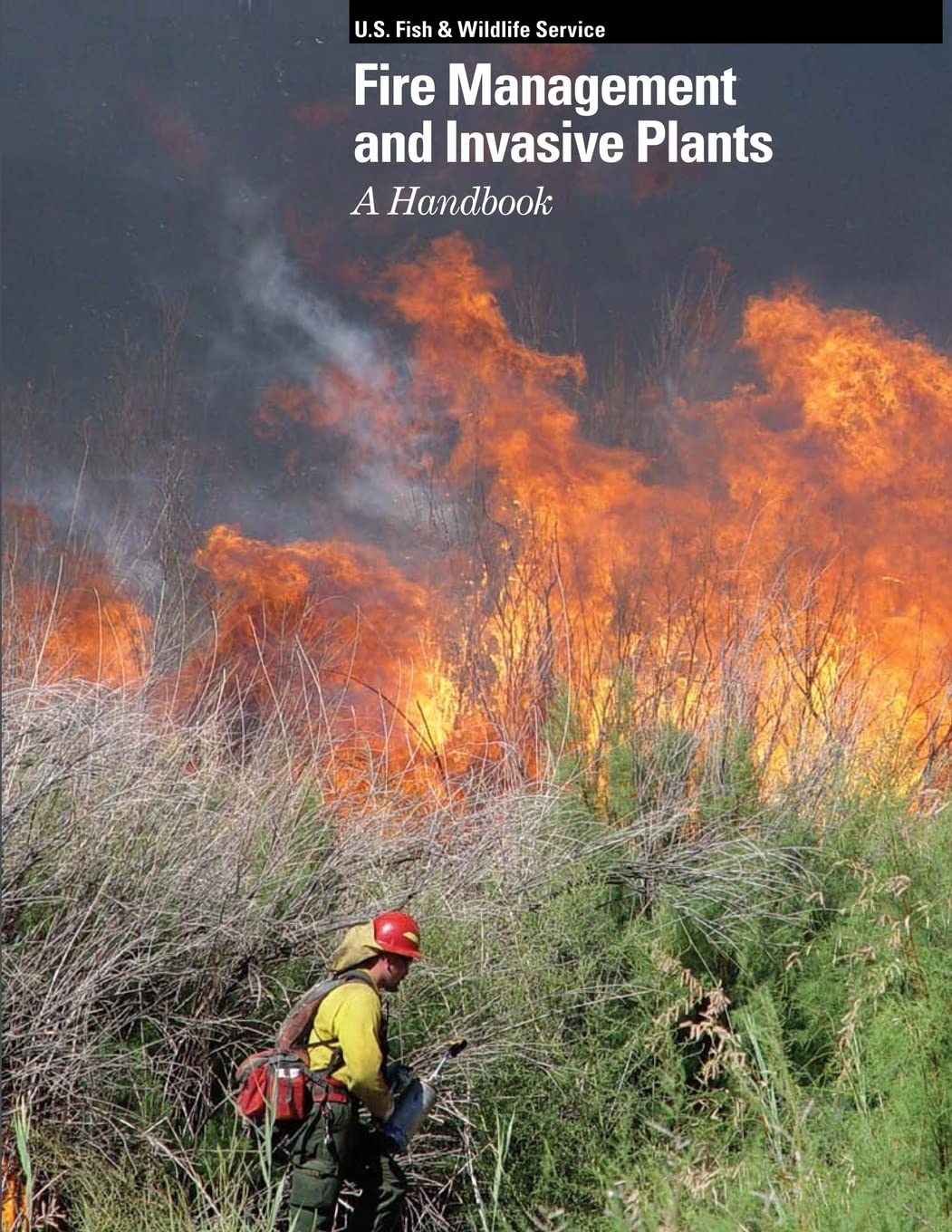 Cover of Fire Management