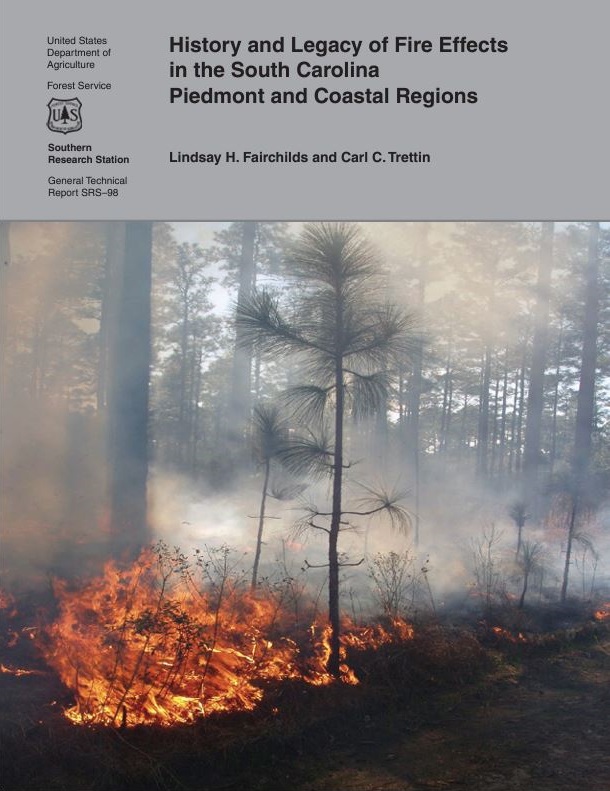 Cover of History and legacy of the Fire Effects