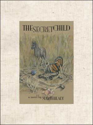 Cover of The Secret Child: A Novel