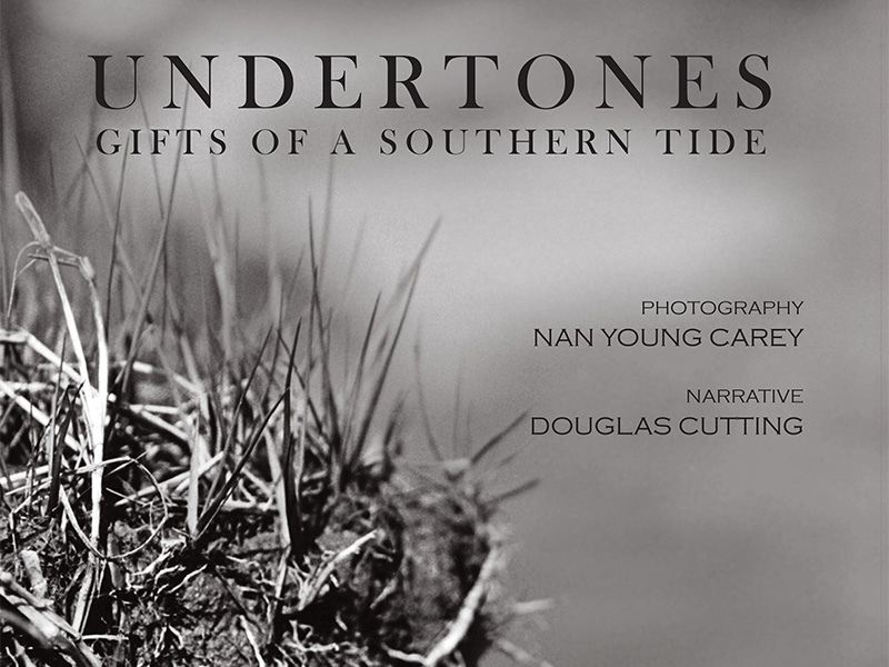 Cover of Undertones