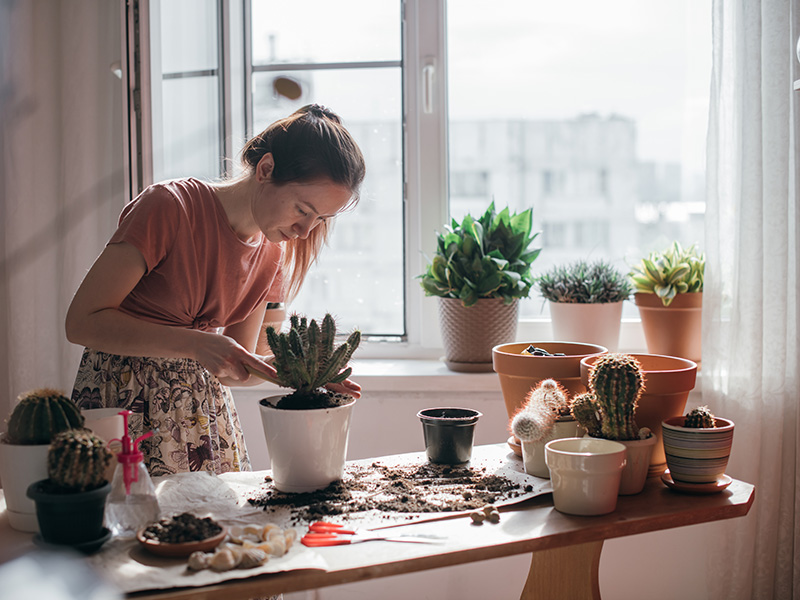 Photo of a woman potting a plant in front of her apartment window.