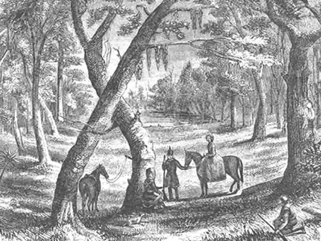 The Arrest of Emily Geiger, The Pictorial Field Book of the Revolution; Or, Illustrations, by Pen and Pencil, of the History, Biography, Scenery, Relics, and Traditions of the War for Independence, Volume 2 by Benson J. Lossing. Published December 31, 1859.