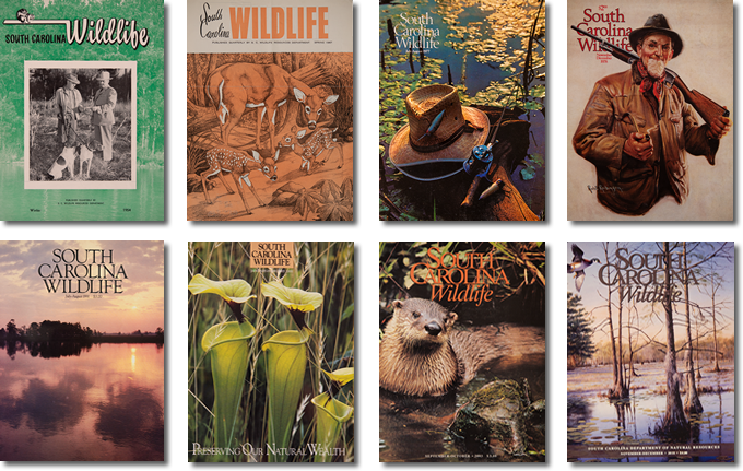 Selection of covers from South Carolina Wildlife Magazine
