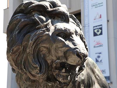 Lion statue in front of the library