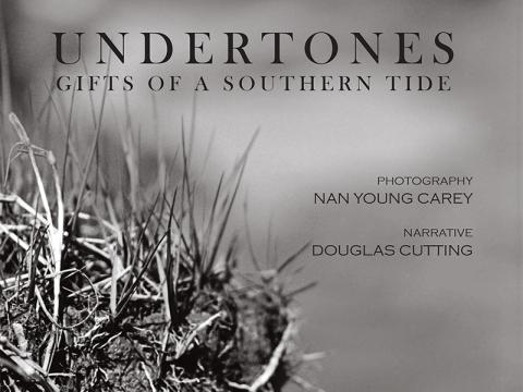 Cover of Undertones: Gifts of a Southern Tide