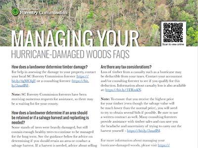 Main page of Managing Your Hurricane-Damaged Woods FQ with title and text.